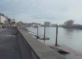 View from the house in Lord napier Close of the Thames looking towards Hammersmith bridge