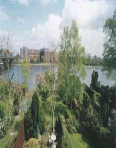 View from livingroom to river Thames